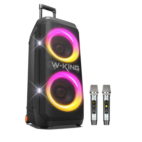Портативная колонка W-King T12 Two mic