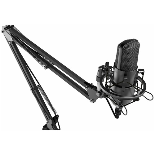 Микрофон RITMIX RDM-169 Black