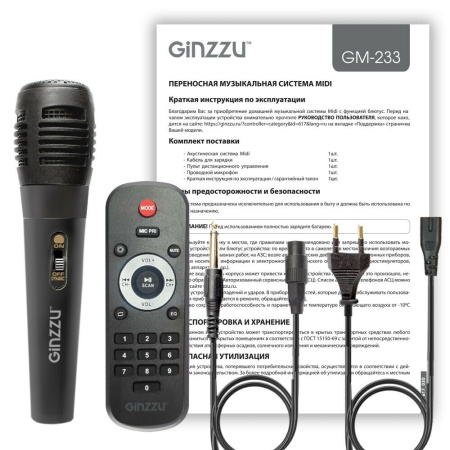 Мидисистема GINZZU GM-233