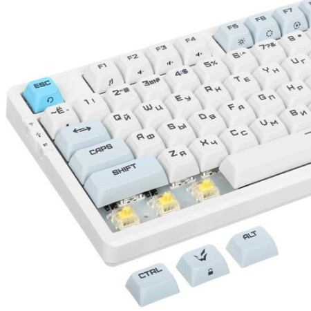 Клавиатура проводная + беспроводная ARDOR GAMING Guardian