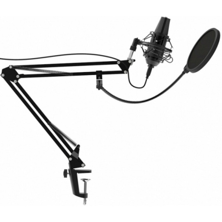 Микрофон Ritmix RDM-180 черный